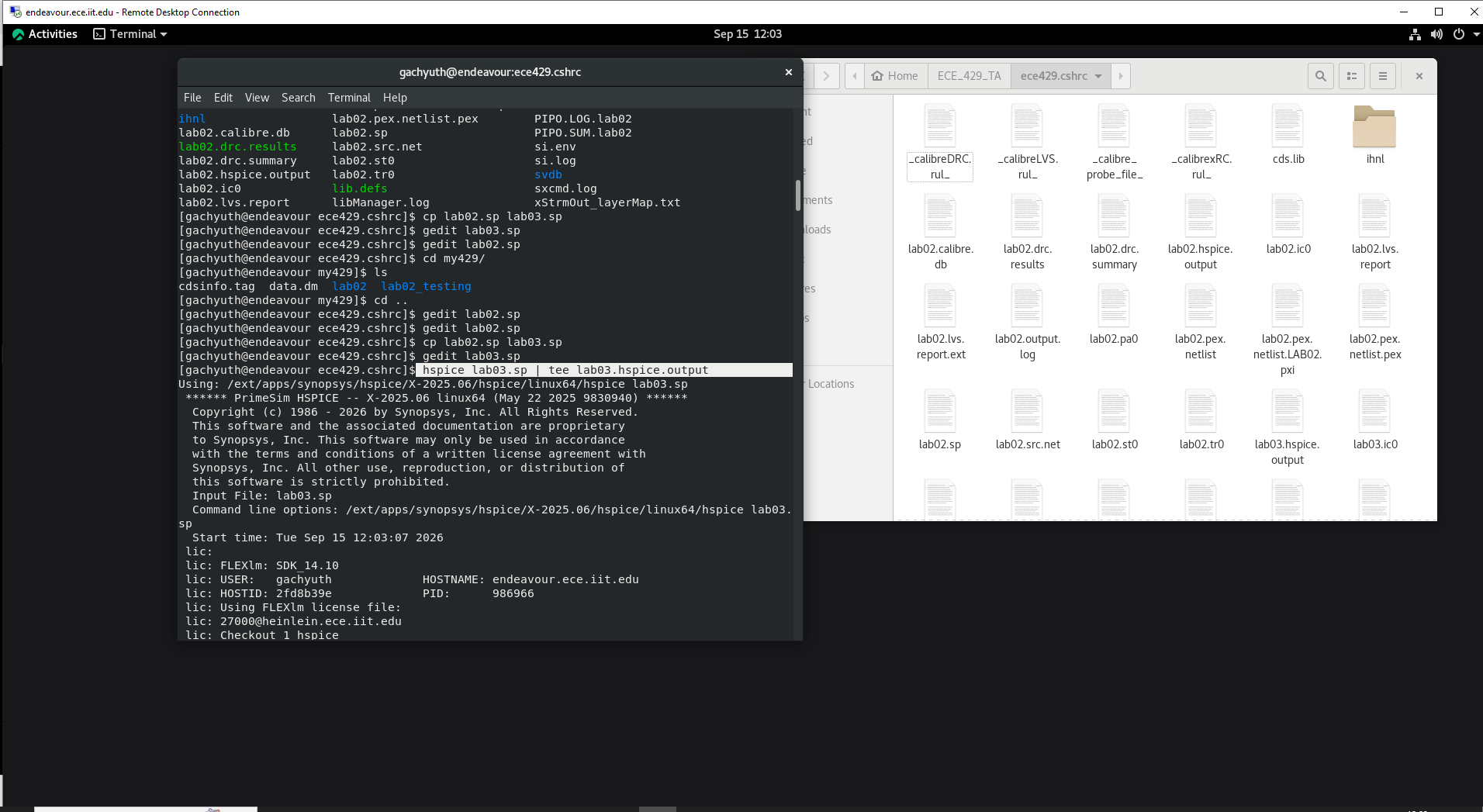 Running postlayout HSPICE